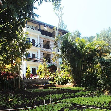 Coorg Jungle Camp Resort Suntikoppa Bagian luar foto