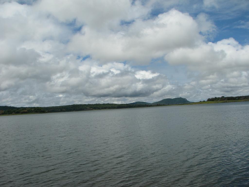Coorg Jungle Camp Resort Suntikoppa Bagian luar foto