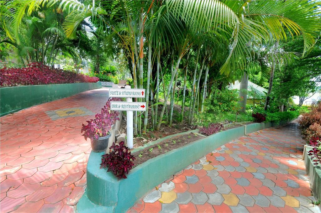 Coorg Jungle Camp Resort Suntikoppa Bagian luar foto